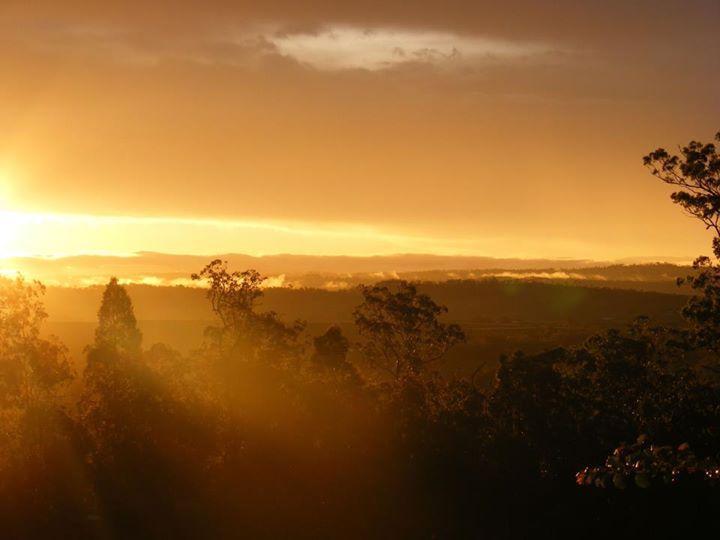 Wallaby Ridge Retreat Mount Tamborine Dış mekan fotoğraf